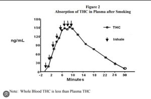 How long does weed stay in your system(chart)