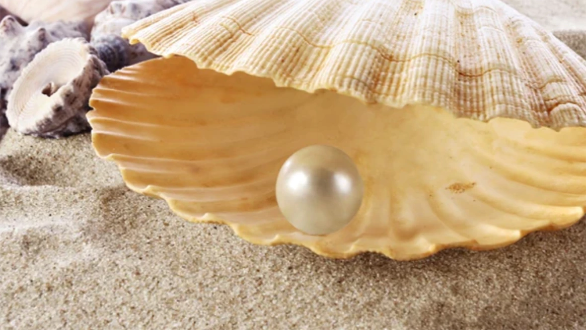 What Good are Defence Counsel Experts Anyways?