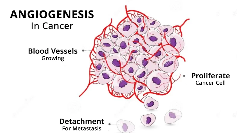 What is Angiogenesis? Big Tobacco Hopes You Don’t Know.