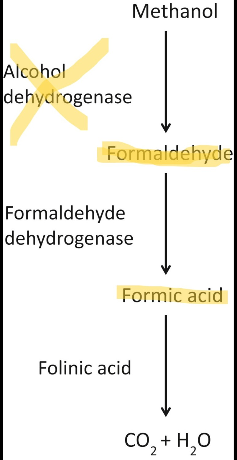 Hangover Cure, Schema Showing Elimination of Endogenous Methanol Prevented by Alcohol Consumption